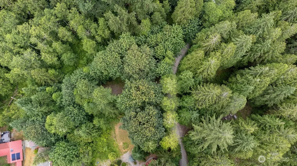 872 High Ridge Drive Marblemount, WA 98267
