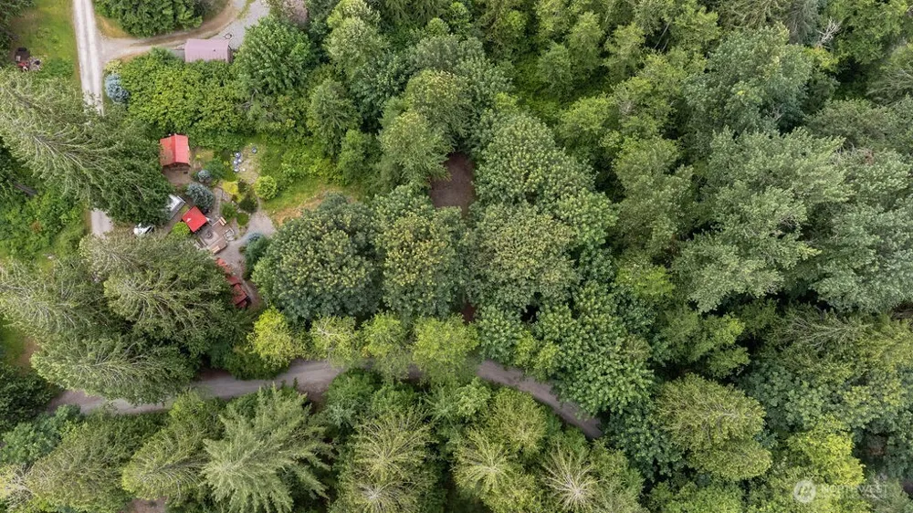 872 High Ridge Drive Marblemount, WA 98267