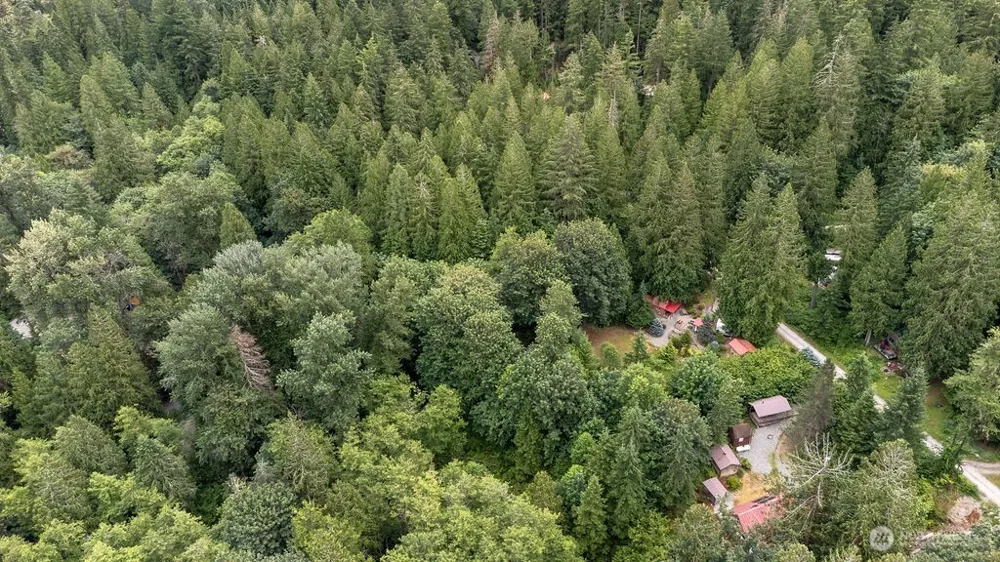 872 High Ridge Drive Marblemount, WA 98267