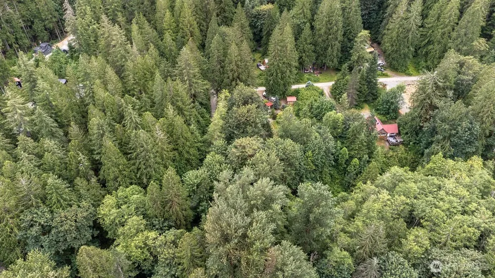 872 High Ridge Drive Marblemount, WA 98267
