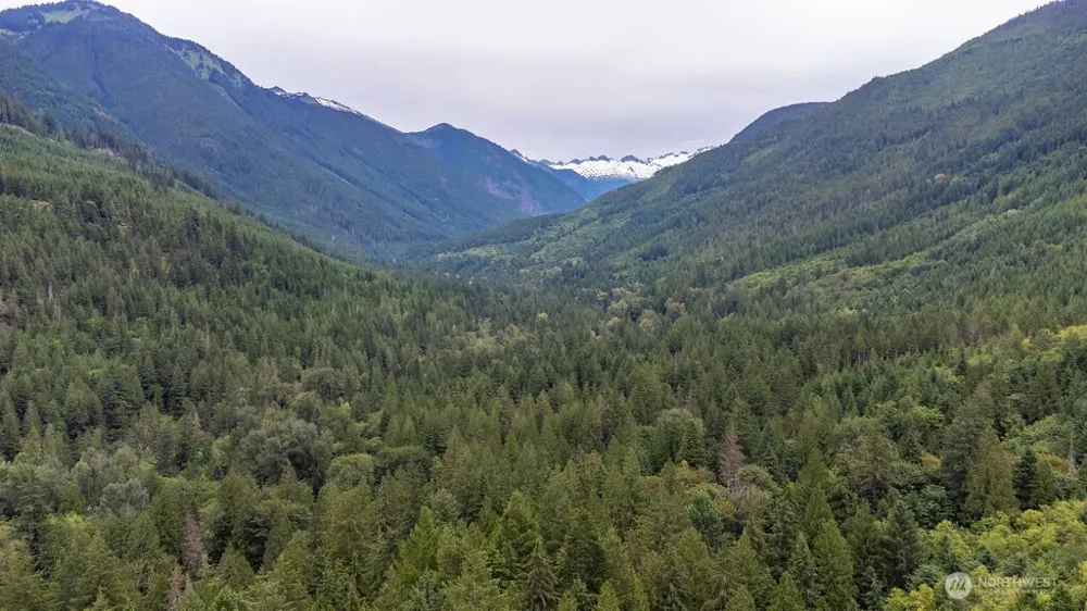872 High Ridge Drive Marblemount, WA 98267