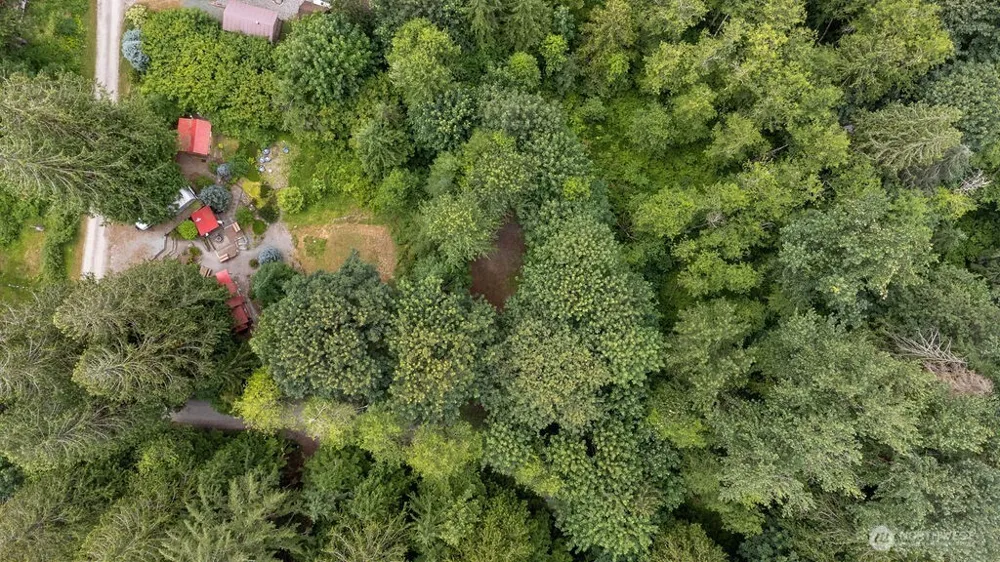 872 High Ridge Drive Marblemount, WA 98267