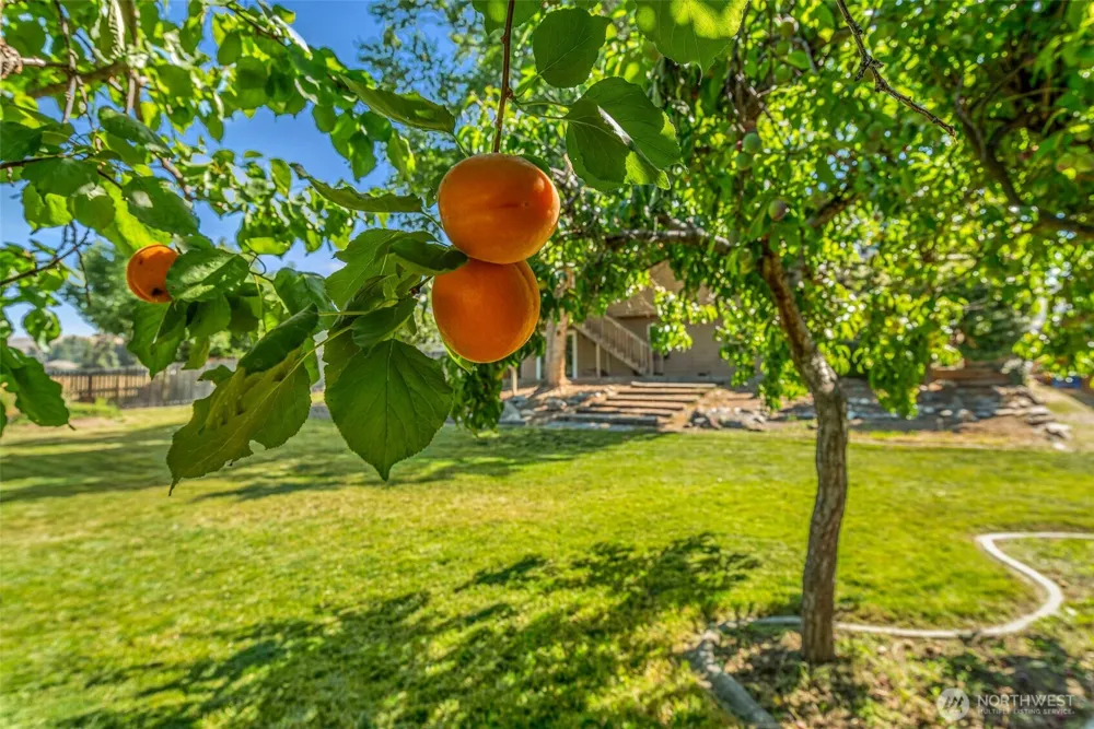 2970 Cascade Ridge East Wenatchee, WA 98802