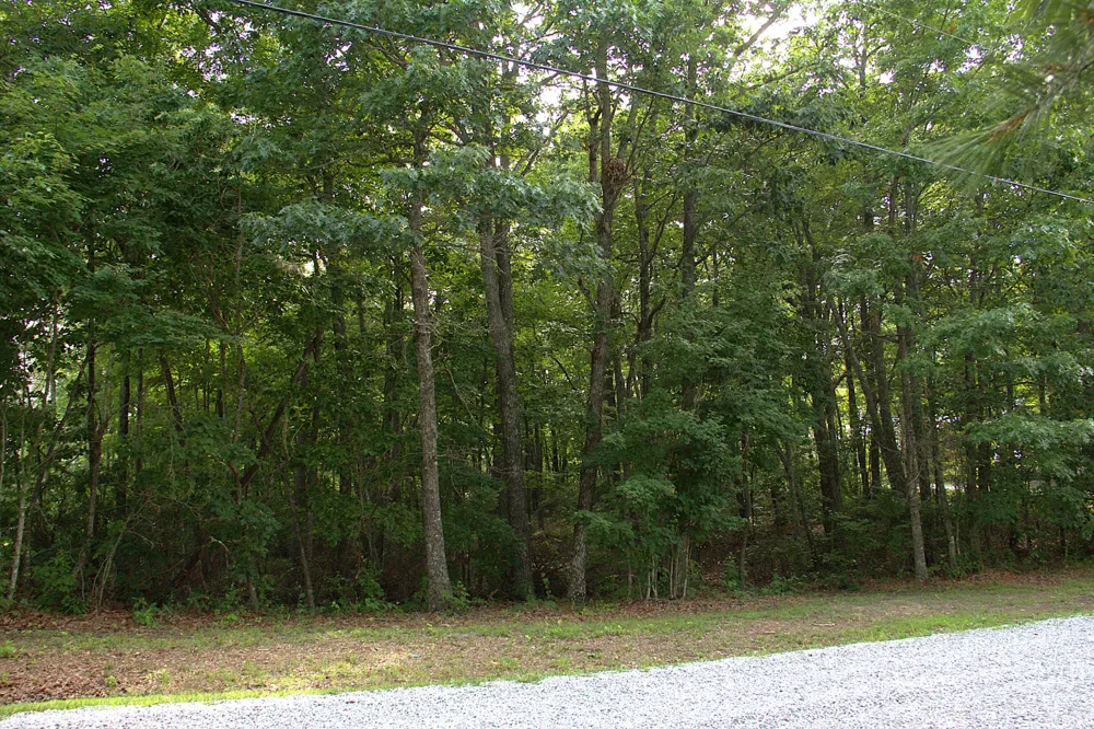 0 Bluff Line Dr McMinnville, TN 37110