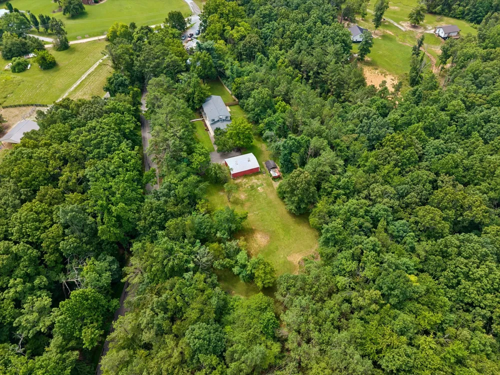 718 Kimmins St Hohenwald, TN 38462