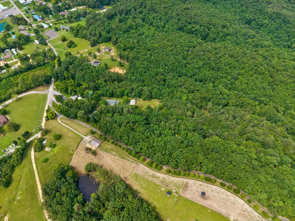 718 Kimmins St Hohenwald, TN 38462