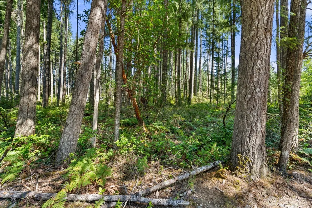1030 E Phillips Lake Road Shelton, WA 98584