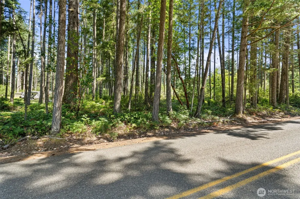 1030 E Phillips Lake Road Shelton, WA 98584