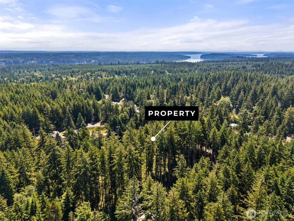 1030 E Phillips Lake Road Shelton, WA 98584