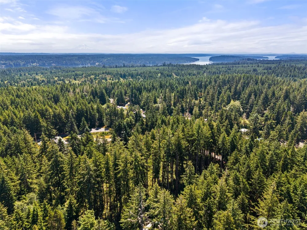 1030 E Phillips Lake Road Shelton, WA 98584