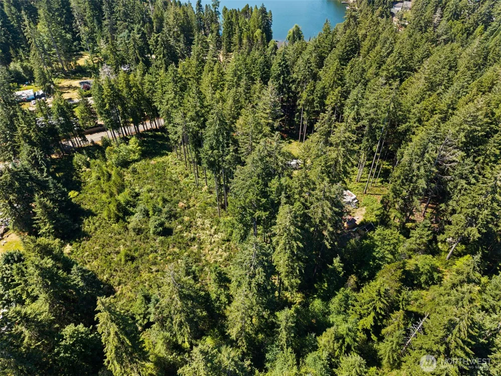 1030 E Phillips Lake Road Shelton, WA 98584