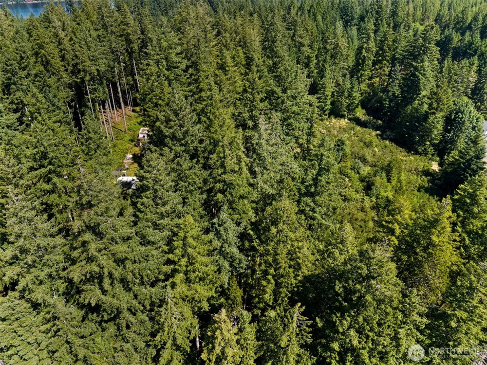 1030 E Phillips Lake Road Shelton, WA 98584