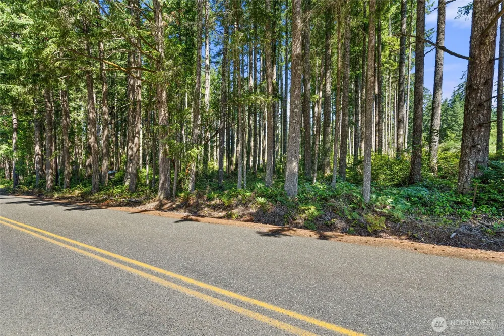 1030 E Phillips Lake Road Shelton, WA 98584