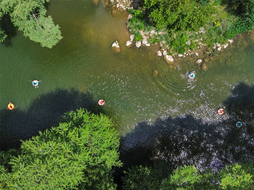 1033 Gruene Road New Braunfels, TX 78130