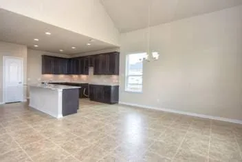 917 Swan Flower Street Leander, TX 78641
