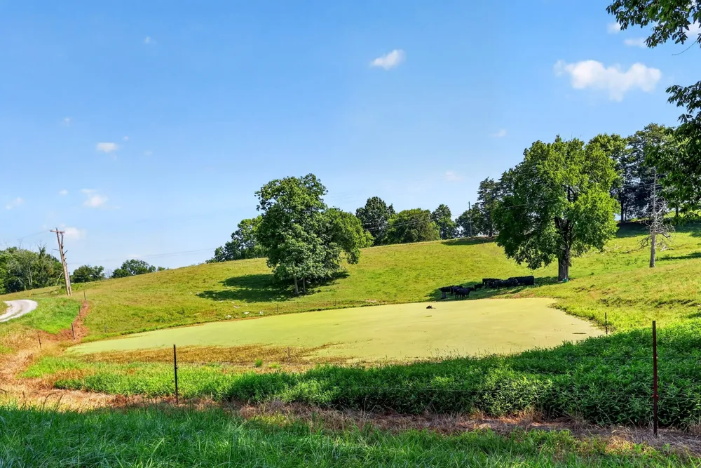 5713 Smith Fork Rd Liberty, TN 37095