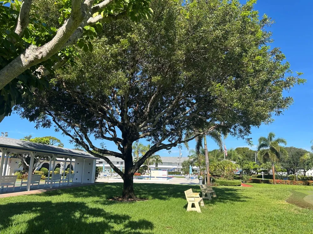 4 Westwood Avenue #204 Jupiter, FL 33469