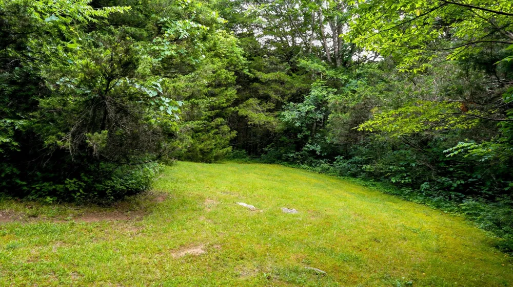427 Adams Rd Watertown, TN 37184