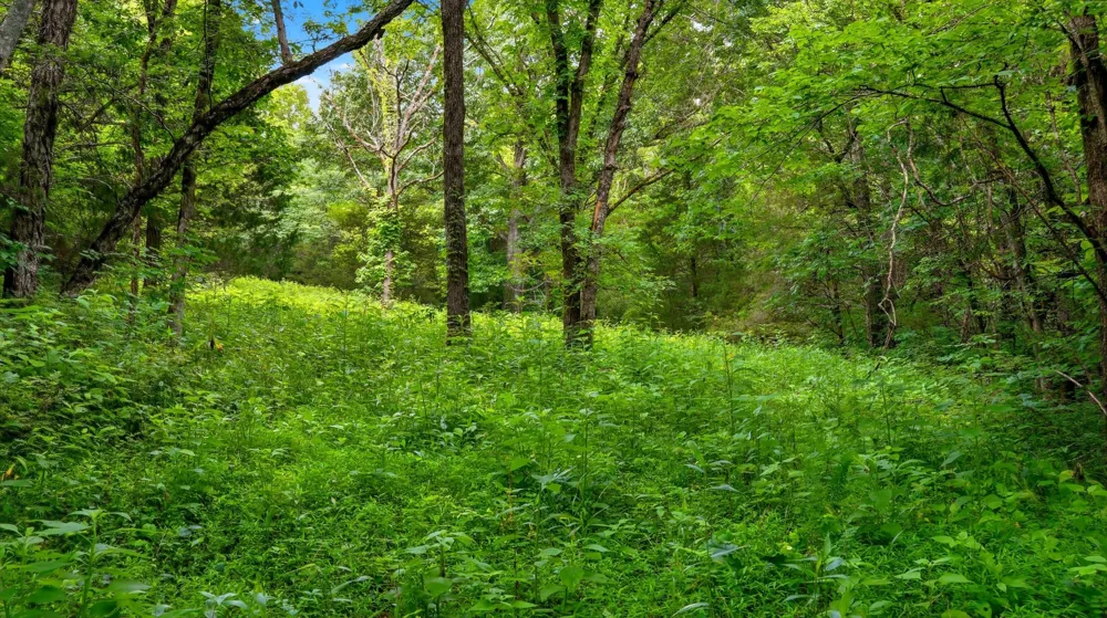 427 Adams Rd Watertown, TN 37184