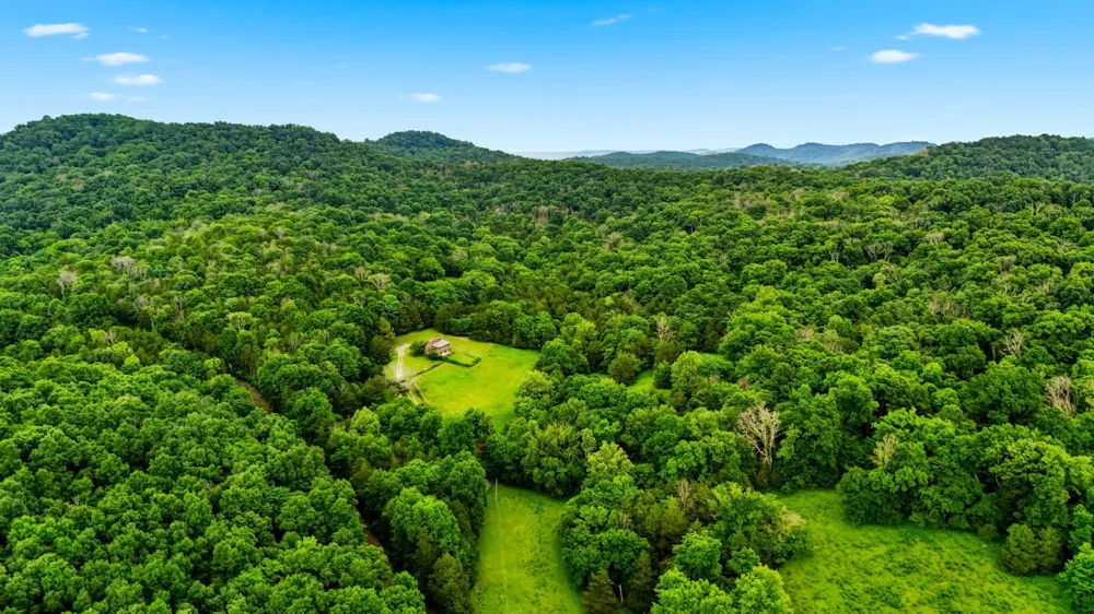 427 Adams Rd Watertown, TN 37184