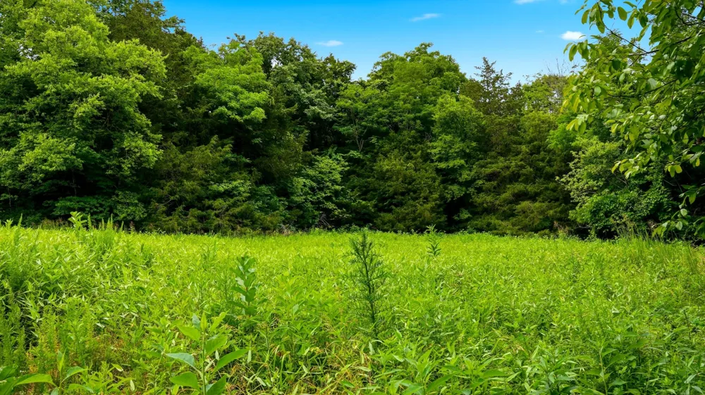 427 Adams Rd Watertown, TN 37184