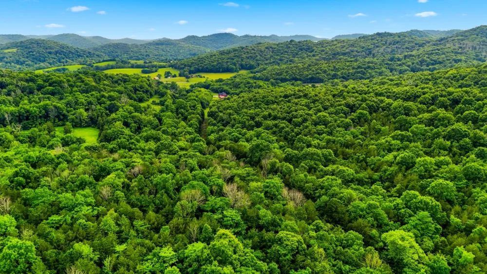 427 Adams Rd Watertown, TN 37184