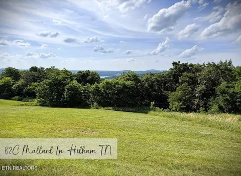 82 Mallard rd