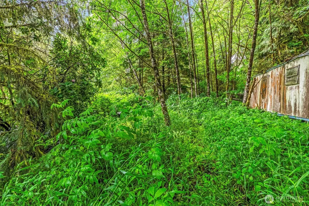 1503 W State Route 4 Skamokawa, WA 98647