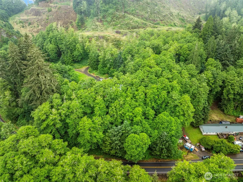 1503 W State Route 4 Skamokawa, WA 98647