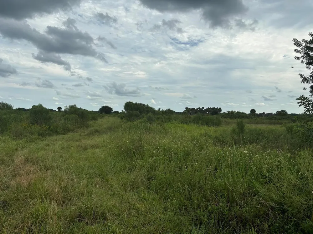 29800 NW 192nd Avenue Okeechobee, FL 34972
