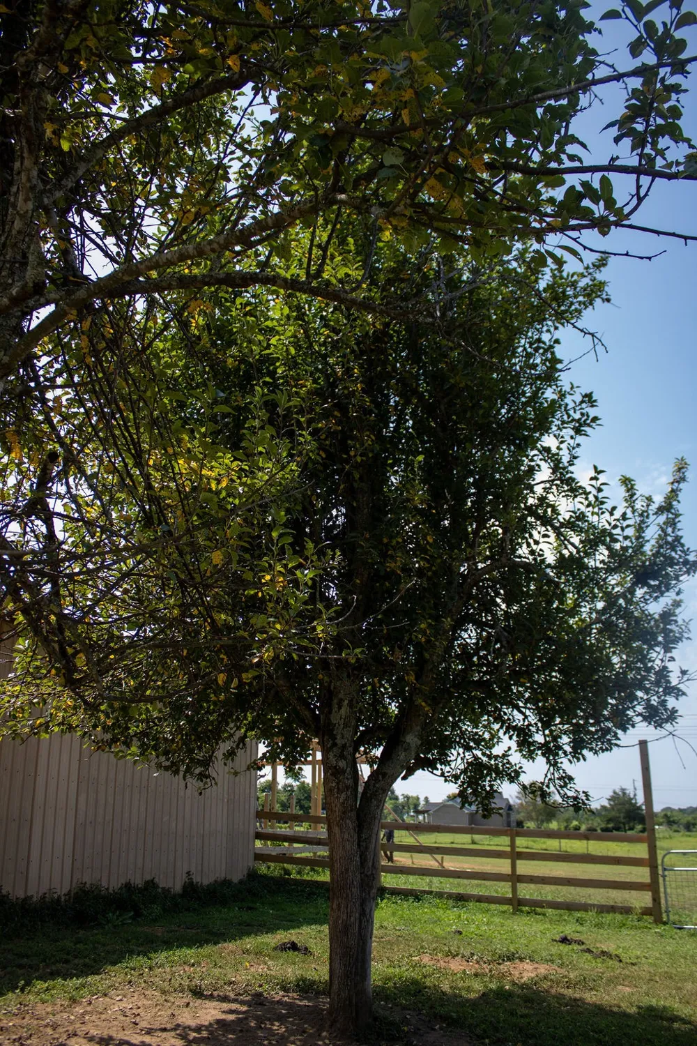 0 Clara Mathis Rd Spring Hill, TN 37174