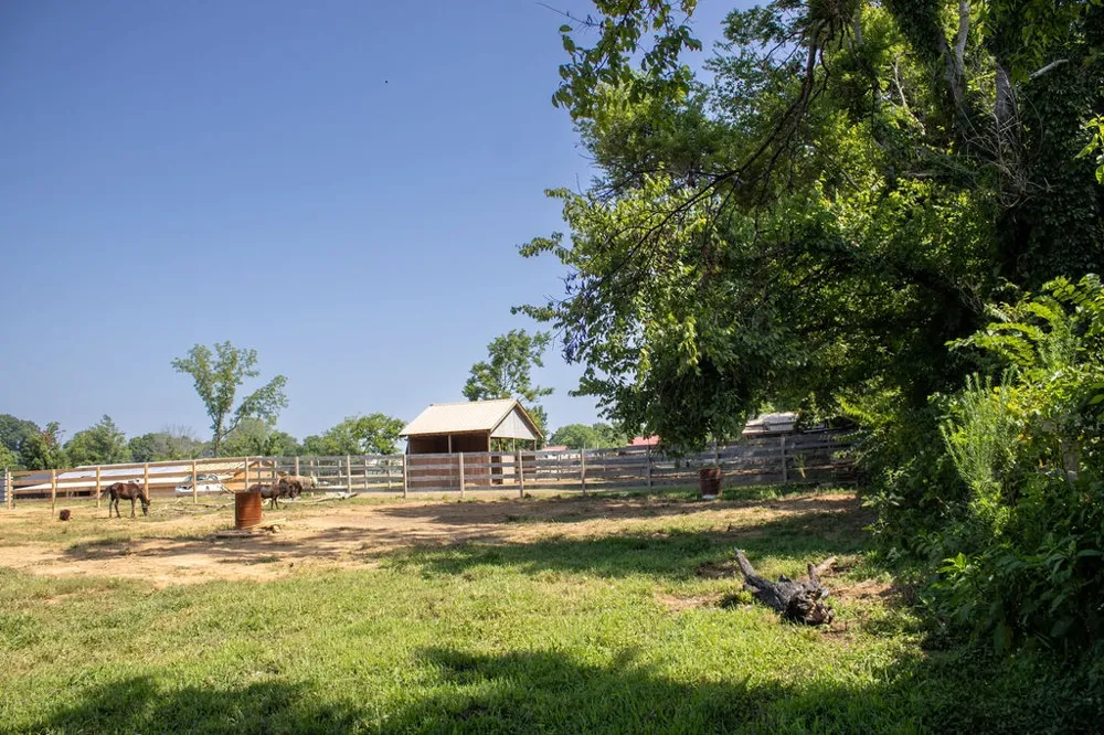 0 Clara Mathis Rd Spring Hill, TN 37174