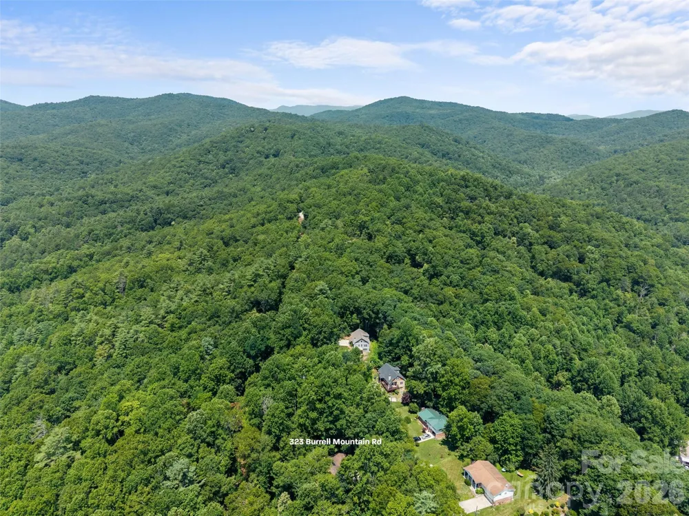 323 Burrell Mountain Road Brevard, NC 28712
