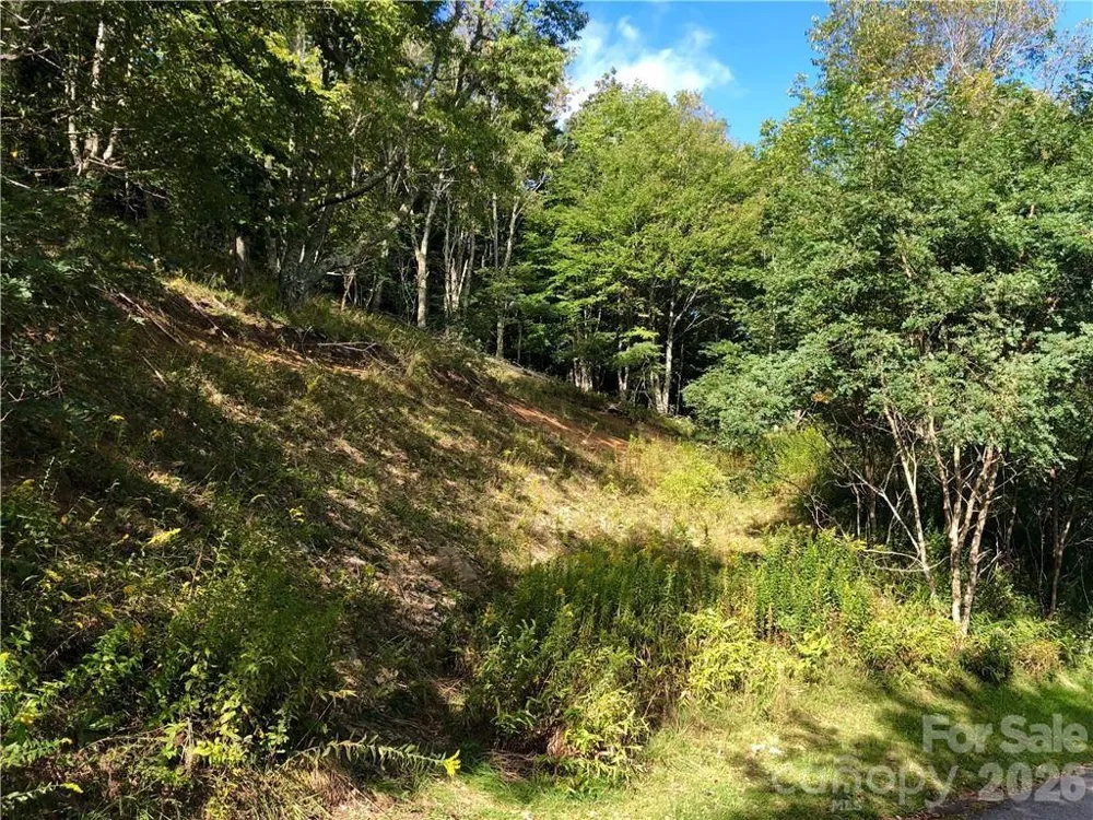 TBD Wakeman Way Banner Elk, NC 28604
