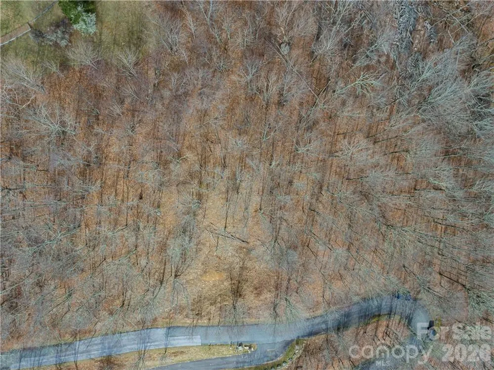TBD Wakeman Way Banner Elk, NC 28604