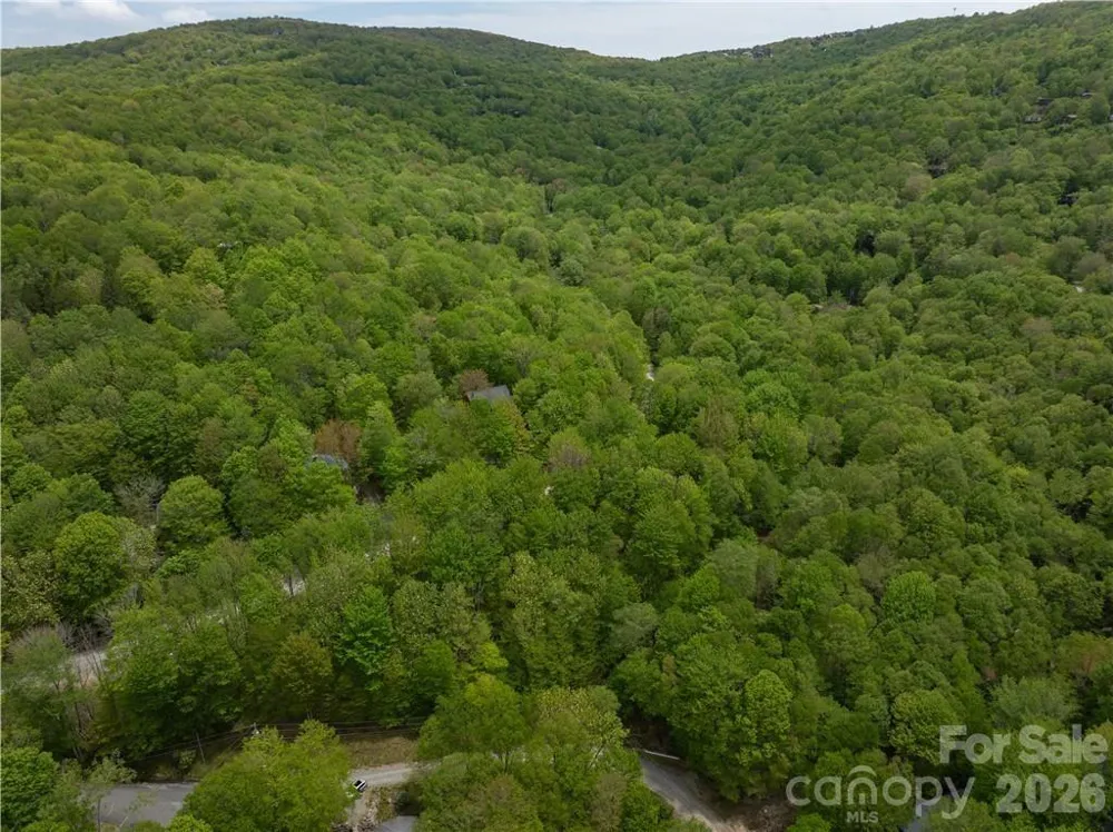 101 Indian Trail #1, 2, 3 Beech Mountain, NC 28604