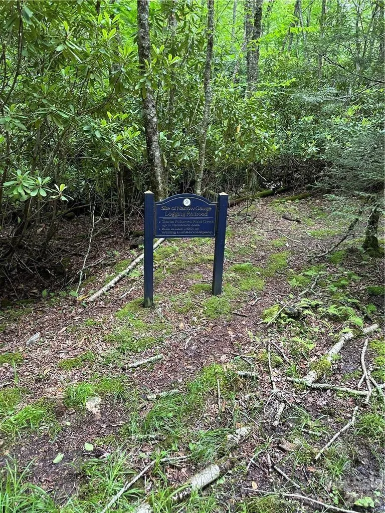 101 Indian Trail #1, 2, 3 Beech Mountain, NC 28604