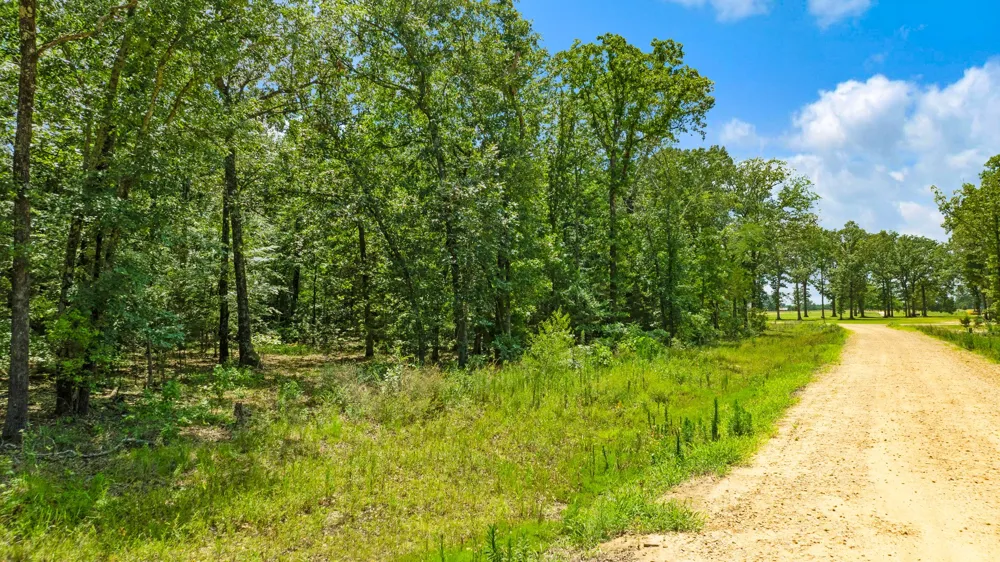 PR 32501 Paris, TX 75460