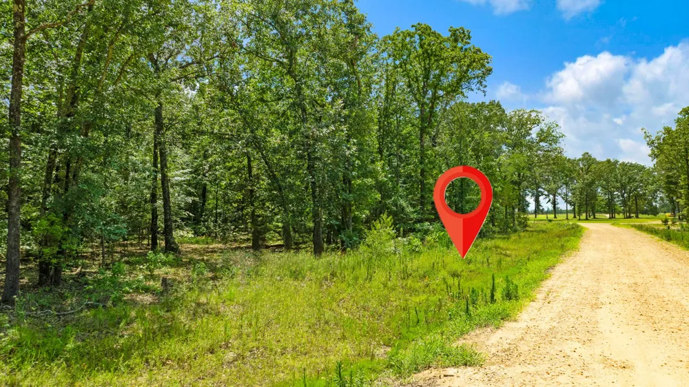 PR 32501 Paris, TX 75460