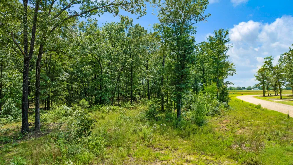 PR 32501 Paris, TX 75460