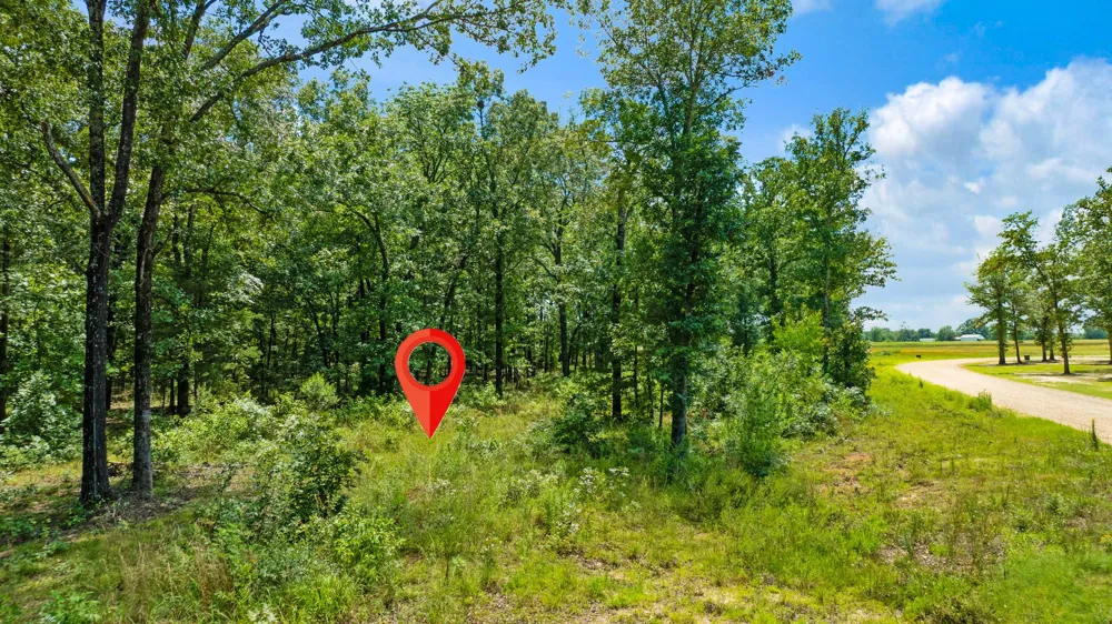 PR 32501 Paris, TX 75460