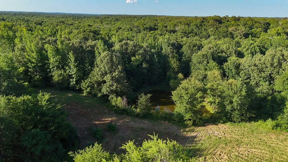 753 County Road 4390 Winnsboro, TX 75494