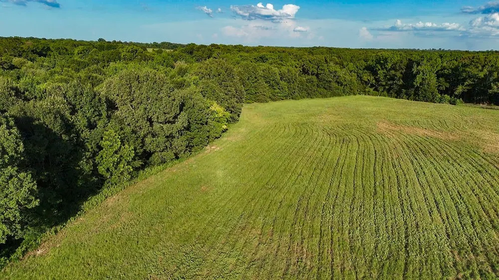 753 County Road 4390 Winnsboro, TX 75494