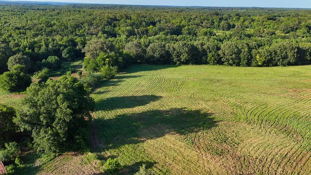 753 County Road 4390 Winnsboro, TX 75494