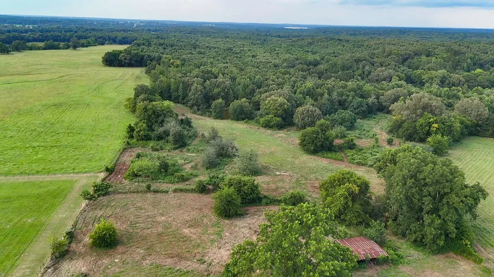 753 County Road 4390 Winnsboro, TX 75494