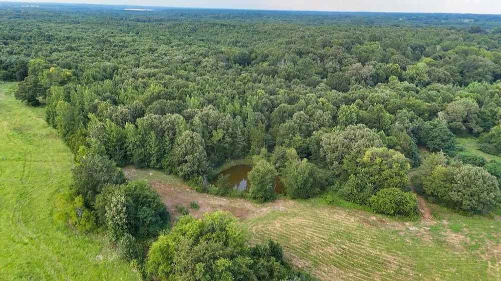 753 County Road 4390 Winnsboro, TX 75494