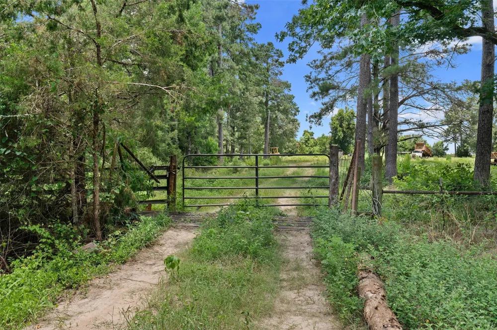 589 US Highway 84 E Tenaha, TX 75974