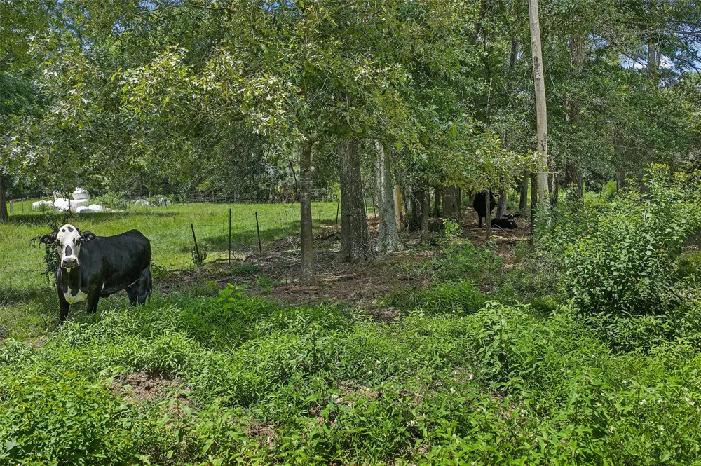 589 US Highway 84 E Tenaha, TX 75974