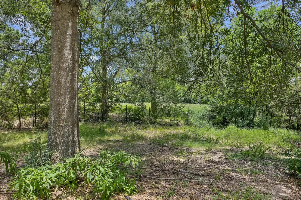 589 US Highway 84 E Tenaha, TX 75974