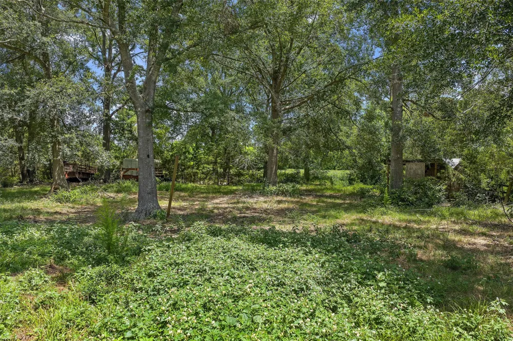589 US Highway 84 E Tenaha, TX 75974